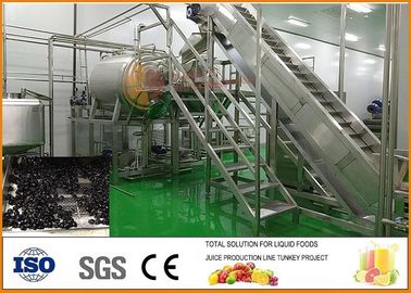 Porcellana Linea di produzione chiavi in mano della frutta secca del mirtillo SS304 CFM-PB-03-22T fornitore